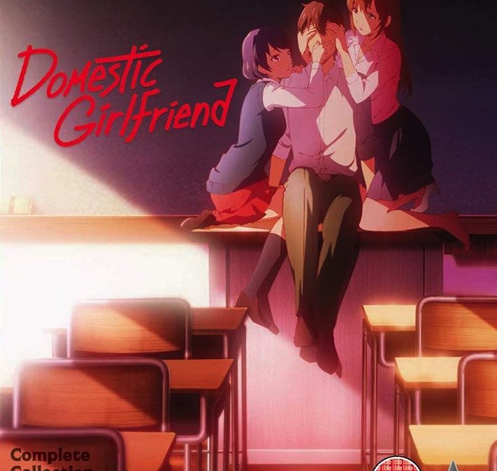 Domestic Girlfriend – Complete Collection Review
