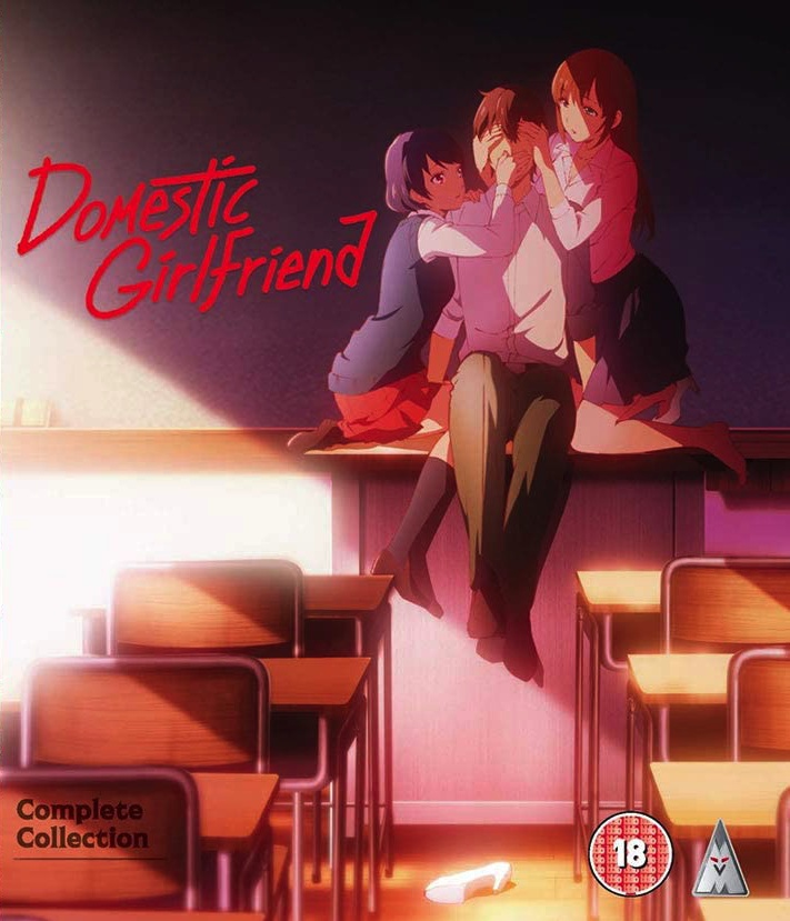 Domestic Girlfriend – Complete Collection Review