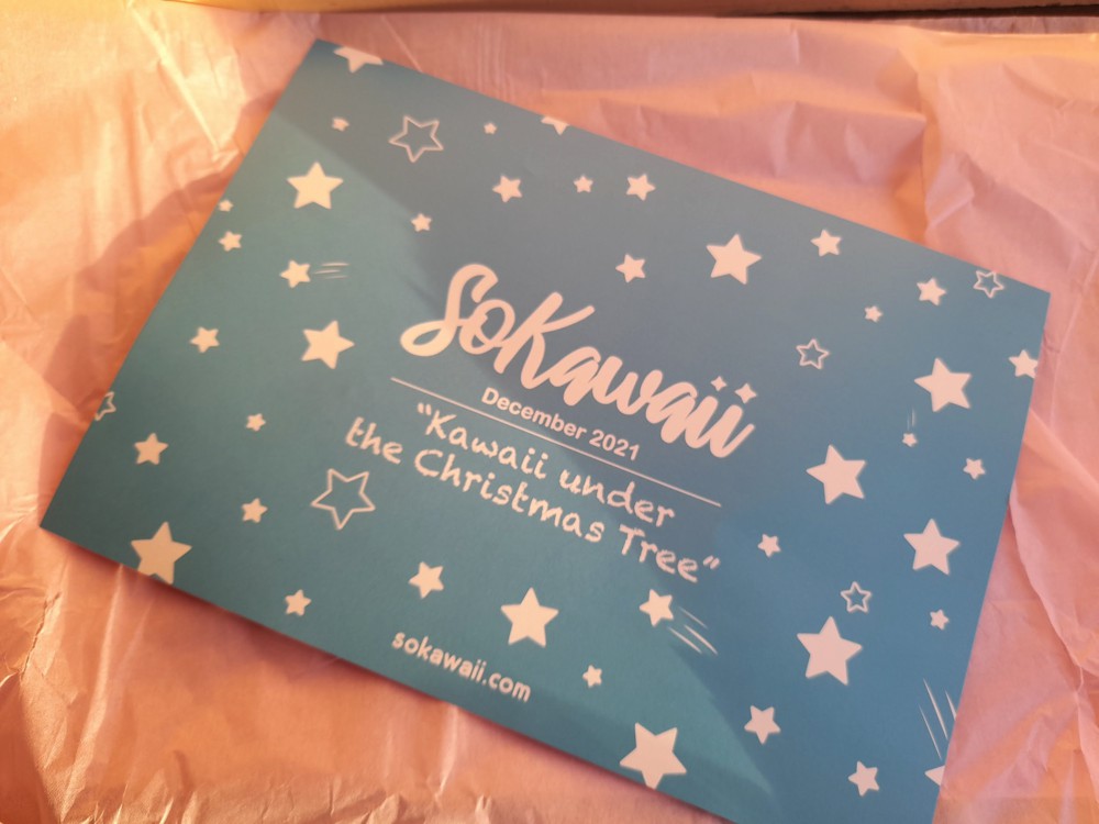 SoKawaii December 2021 Box Review
