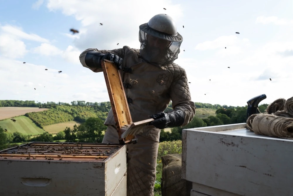 thebeekeeper1