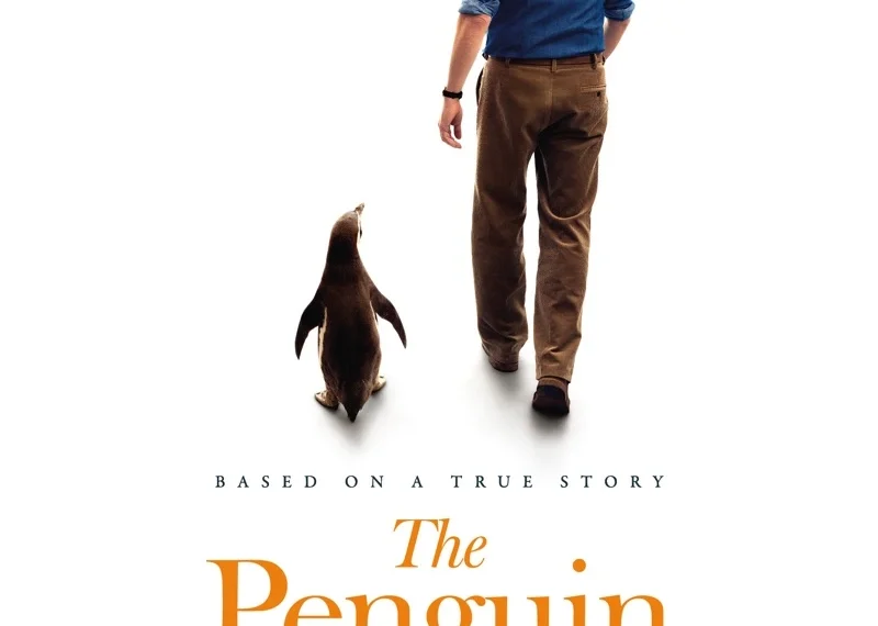penguinlessons