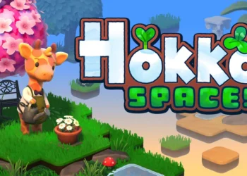 hokkospaces