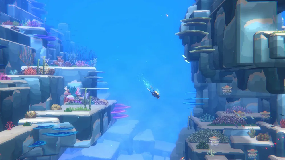 davethediver1