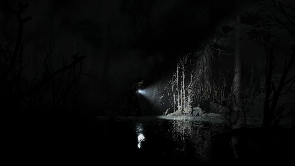 silverpines5