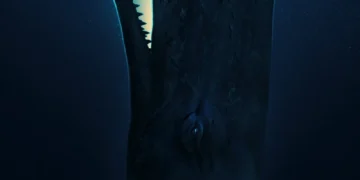 whalefall