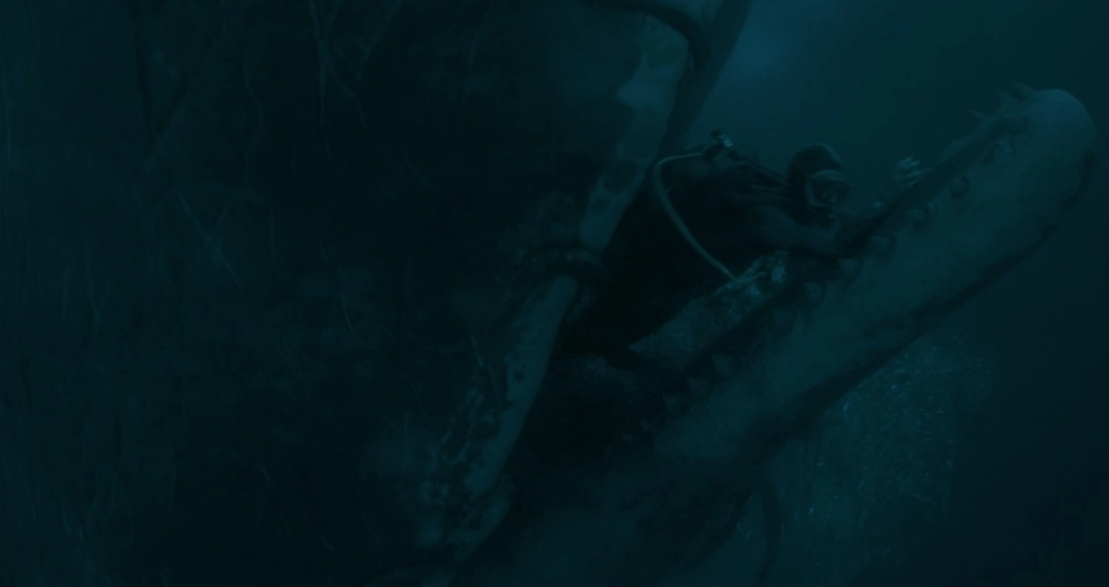whalefall4